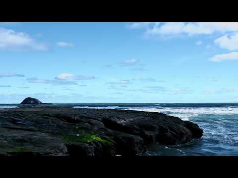 Scoria | Muriwai Beach