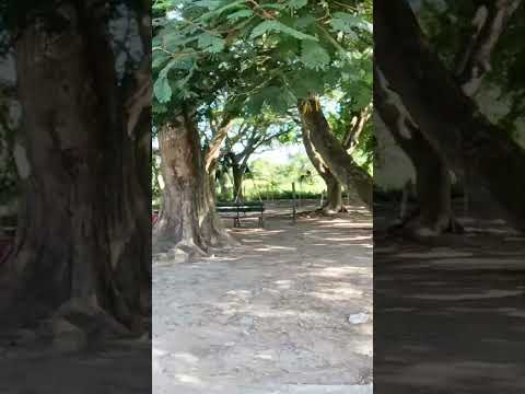 Batey Marta Abreu!!! Cienfuegos #cuba