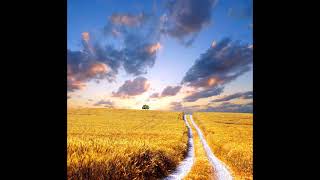 Cerebral - The Harvesters (Exile 2020 Mix)