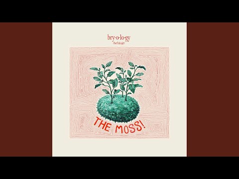 The Drawer - The Moss