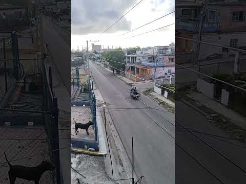 ¡LEO de CUBA! La Habana 🇨🇺 #automobile