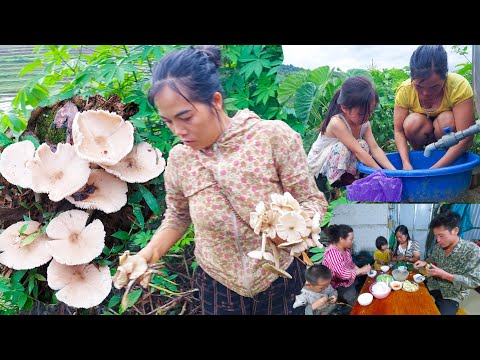 Ua Zog Pom Nceb Ntxim Qab Heev【6/16/2022】