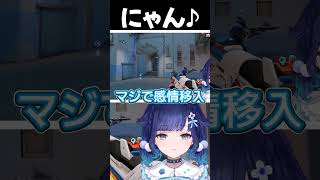 にゃん #紡木こかげ #ぶいすぽ #shorts