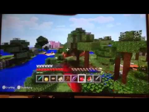 Minecraft Wii U - Hunger Games