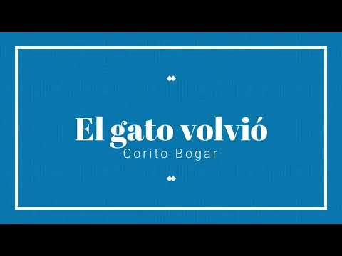 El gato volvió 2022   #Academiabogar #MarimbaBogar
