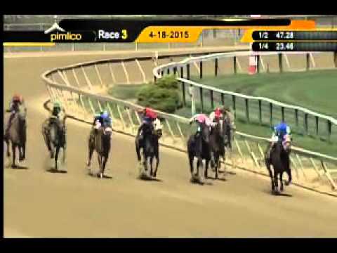 Pimlico 04/18/15 race 3