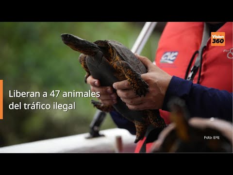 Liberan a 47 animales del tráfico ilegal