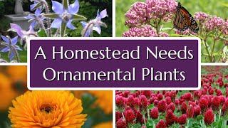 What Some Homesteaders Have Wrong About Ornamental Plants