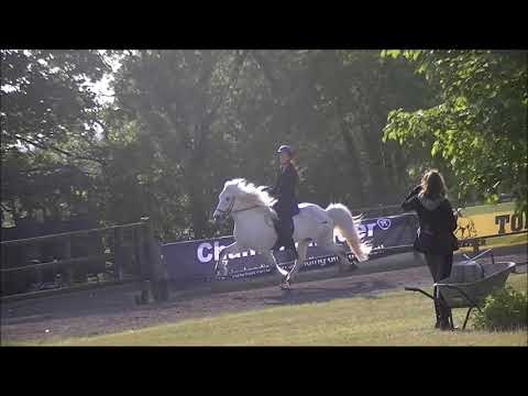 Kronshof Special 2018: S1.T1 Vorentscheidung