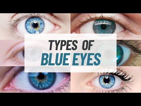 6 Different Types of Blue Eyes: Stunning Shades You Didn't Know Existed