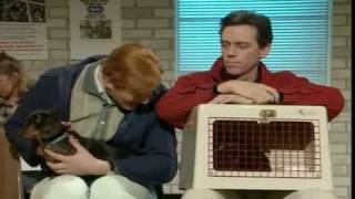 A Bit of Fry & Laurie PL - Psinka (Pooch) [napisy PL]