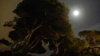 ATB ¹ Endless Silence