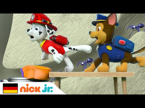 PAW Patrol | Die Welpen gegen obststehlende Ameisen! | Nick Jr. Deutschland