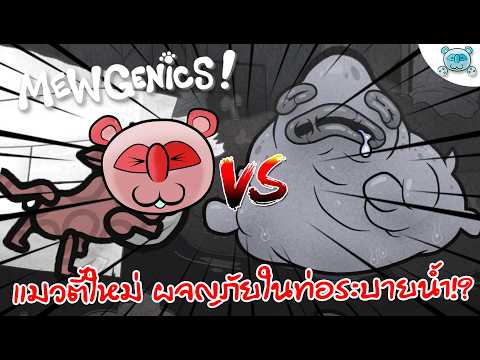 แมว 1+1 = 3 เดอะแบก!? ฝ่าด่านท่อระบายน้ำ MewGenics # 3