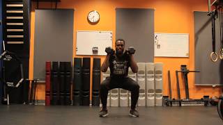 Dumbbell - Squat Hold
