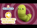 Octonauts Creature Report Midnight Zone