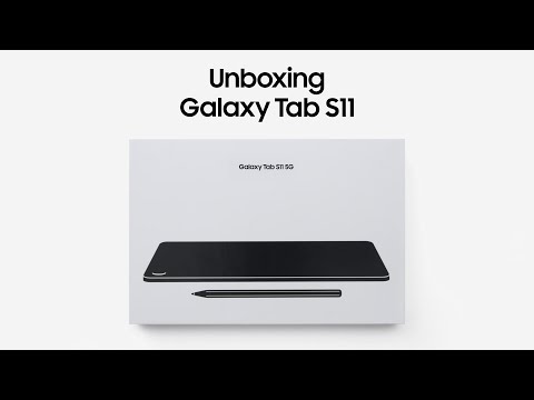 Планшет Samsung Galaxy Tab S11 5G SM-X736B 12/256GB Gray (SM-X736BZAPEUC)