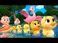 Five Little Ducks With Birds MORE Lalafun Nursery Rhymes Kids Songs