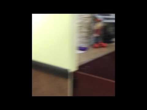 Bayshore Veterinary Hospital Mannequin Challenge