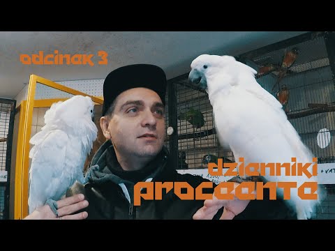 Dzienniki Proceente - odc. 3