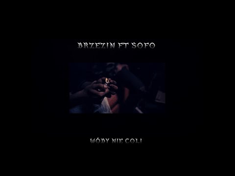 Brzezin ft. Sofo - wódy nie coli