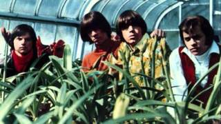 Sky Saxon &amp; The Seeds - Love in a summer basket