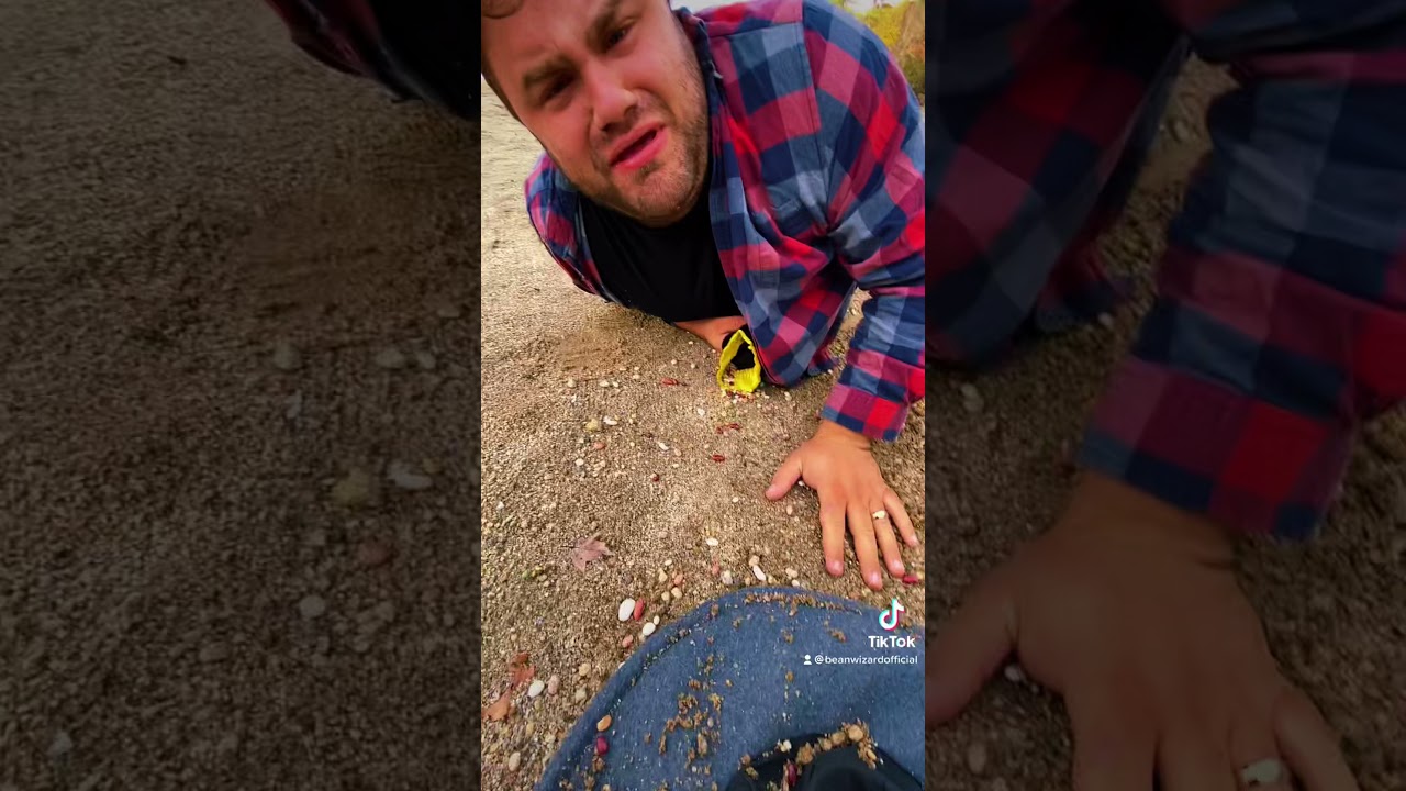 Oh no my beeeeeeans, I spilt them😞