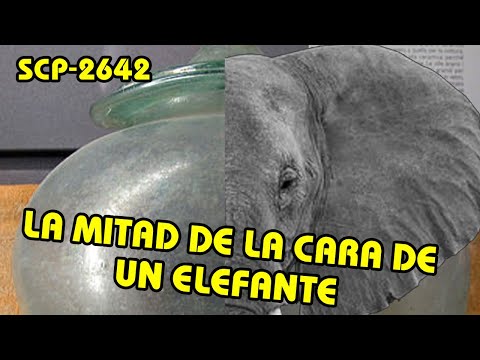 SCP-2642: La Mitad de la Cara de un Elefante