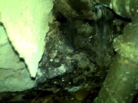 1323 Worcester rd G-2