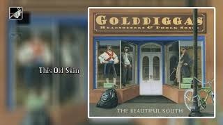 This Old Skin by The Beautiful South