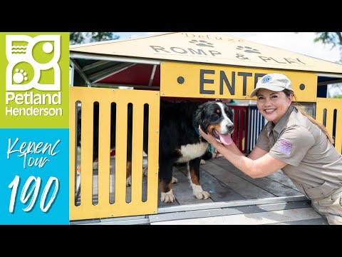 Petland Henderson Kennel Tour 190