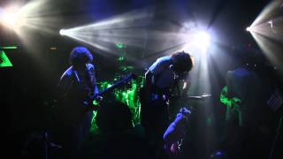 "Couldn't We All" ~ Pigeons Playing Ping Pong 7-3-13 The 8x10