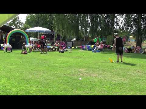 Samia - Fun Distance 2022