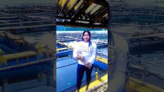 Download lagu Cimut pengamen cewek banyumas cover lagu 'SUKET TEKI'❤❤❤ mp3