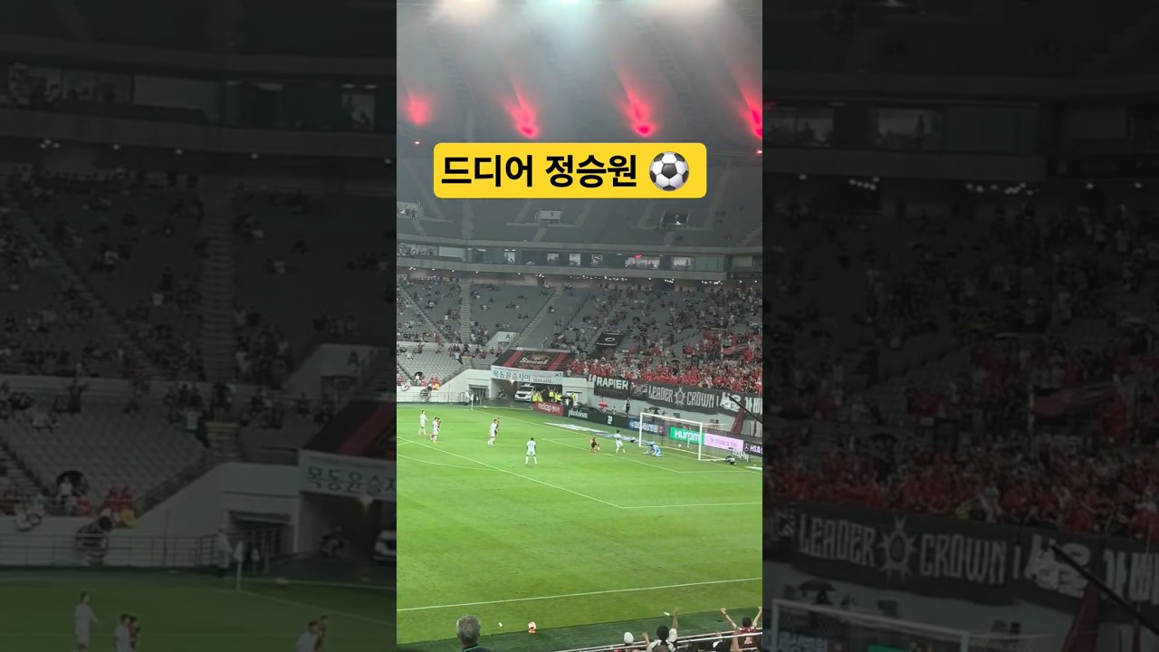 FC서울 vs 포항 #축구 #fc서울 #football #k리그 #정승원