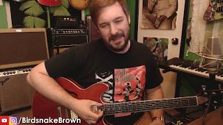 Video thumbnail for Trying Flatwound Guitar Strings - D'Addario Chromes Extra Light by Birdsnake Brown