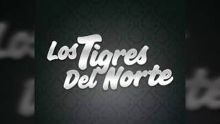 Por alguien.los tigres del norte