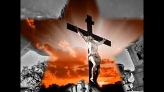 Oración a la Santa Cruz