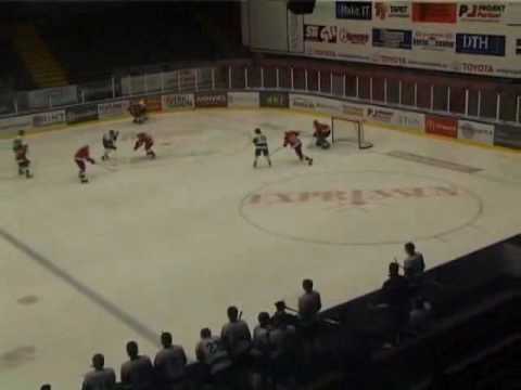 Emil Ivarsson, Swedish Hockey Player