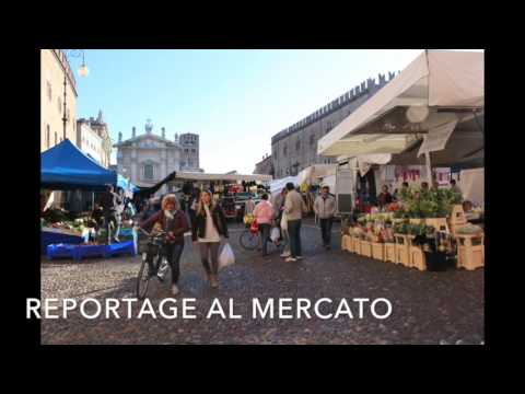 VÍDEO CONCLUSIVO MINELLI