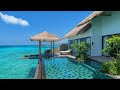 Hilton Maldives Amingiri Resort 2025 Ultimativer Luxus Auf Den Malediven