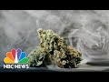 4/20 in 2020: Marijuana Market Booms Amid Coronavirus Pandemic | NBC News NOW