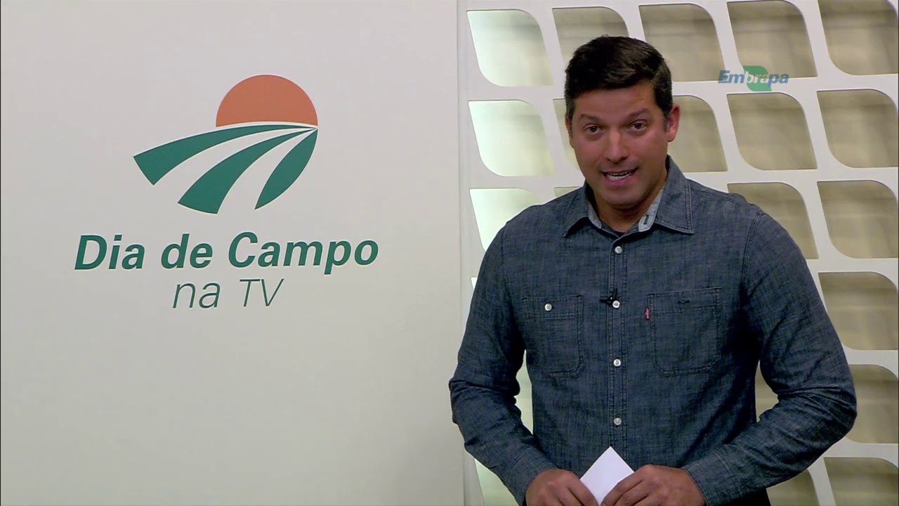 Provas zootécnicas ajudam a melhorar genética bovina