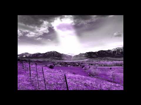 Dijetari Bin BAZ, Raste interesante nga jeta e tij  -  Hoxhë Lulzim Susuri