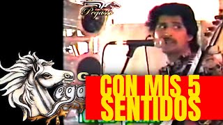 1991 - CON MIS CINCO SENTIDOS - canta EL TITERE - El Pega Pega de EMILIO REYNA -
