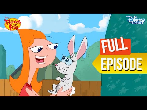 Candace & Mr. Cutie-Patootie | Phineas And Ferb | @disneyindia