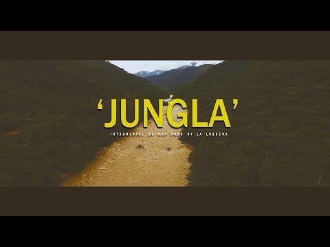 JUNGLA - INSTRUMENTAL DE RAP USO LIBRE (PROD BY LA LOQUERA 2017)
