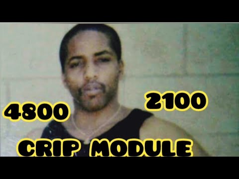 CRIP MODULE 4800/2100 BOOTY BANDITS SHERIFF'S CORRUPTION #compton #watts #losangeles #lynwood