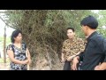 Discussing About Student S Punishment In Thai Schools