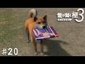 その本を渡すんだ！！！マメ！！！！【龍が如く 極３】＃２０